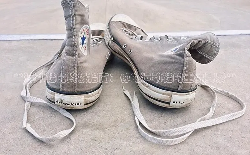 8868体育网站入口手机版知乎**运动鞋的终极指南：你的运动鞋的重要要素**