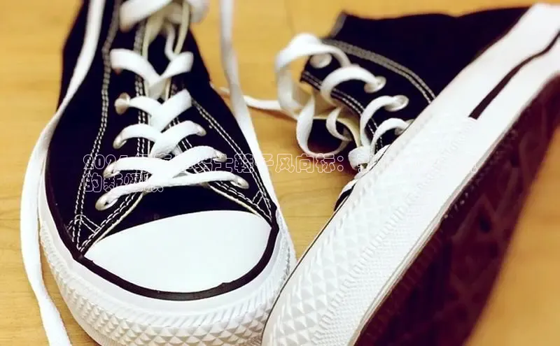 8868手游平台下载诸葛科技2024 年春季男士鞋子风向标：引领时尚潮流
的新爆款