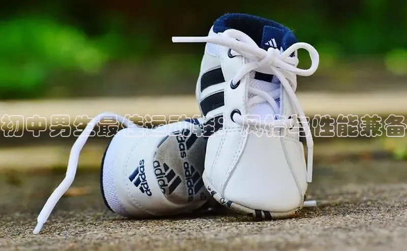 8868在线官网登录入口百度学术初中男生最佳运动鞋：风格与性能兼备