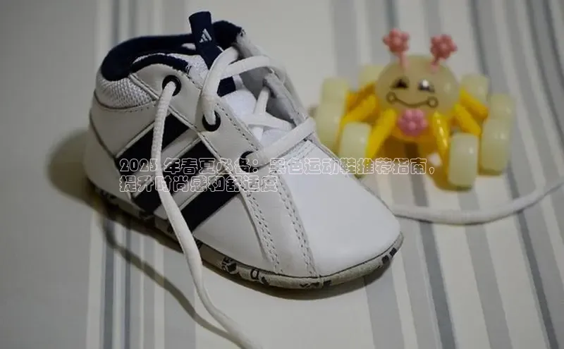 8868体育官网百度识图2023 年春夏必备：黑色运动鞋推荐指南，
提升时尚感和舒适度