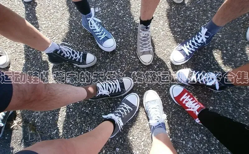 8868体育在线登录入口中海达运动鞋收藏家的天堂：终极运动鞋小卡合集