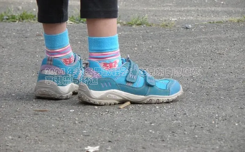 8868体育网页版入口阿里尔公司2024 年秋冬男款鞋子：在京东自营店尽
享潮流与舒适