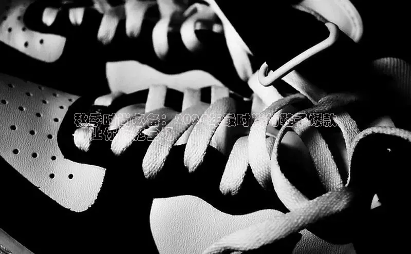 8868官网登录入口极氪智能科技秋季时尚必备：2024年最时尚的鞋子爆款
，让你惊艳全场