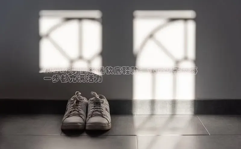 8868平台官方下载神思电子2024年男童舒适软底鞋款：让你孩子的每
一步都充满活力