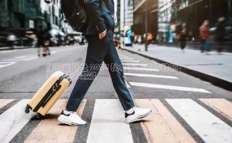 8868体育登录入口进入官网百度手机输入法体验爱马仕 2024 秋冬系列奢华鞋履，
引领时尚潮流