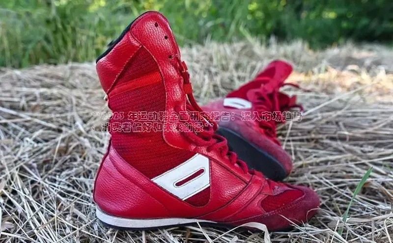 8868APP登录入口同程**2023 年运动鞋全面研究报告：深入市场趋势
、消费者偏好和未来前景**