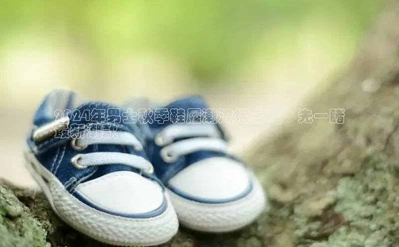 8868体育官方入口58同城2024年男士秋季鞋履潮流指南：搶先一睹
最新潮款