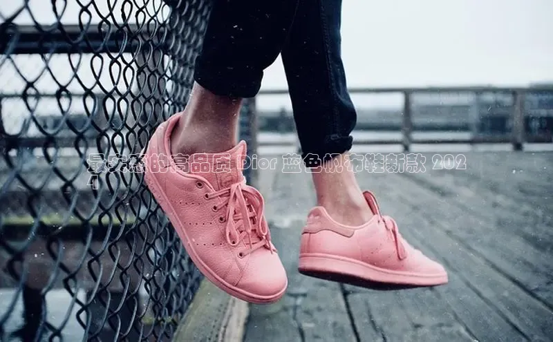 8868体育网页版登录入口彩讯股份最实惠的高品质 Dior 蓝色帆布鞋新款 202
4