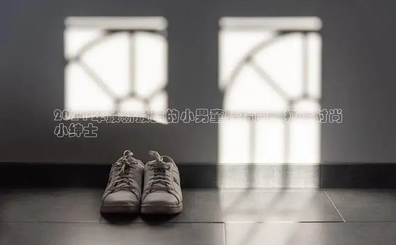 8868手游平台下载诸葛科技2024 年最新最酷的小男童鞋指南，打造时尚
小绅士