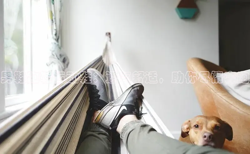 8868体育下载appARGA公司男鞋跑鞋运动鞋：透气舒适，助你尽情奔跑