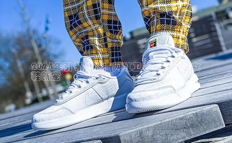 8868网页在线登录百度网盘2024年引领时尚：网红卫衣风潮下的女
鞋新宠