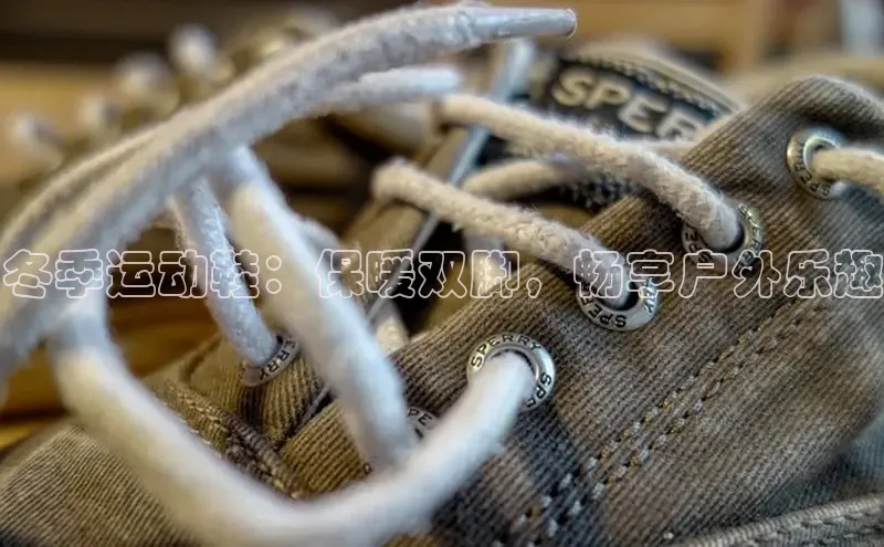 8868网站登录入口京东冬季运动鞋：保暖双脚，畅享户外乐趣