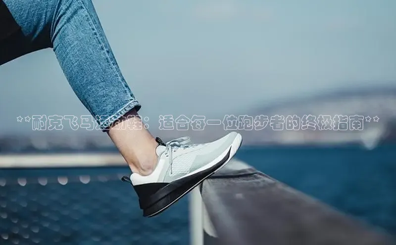 8868体育平台美团**耐克飞马运动鞋：适合每一位跑步者的终极指南**