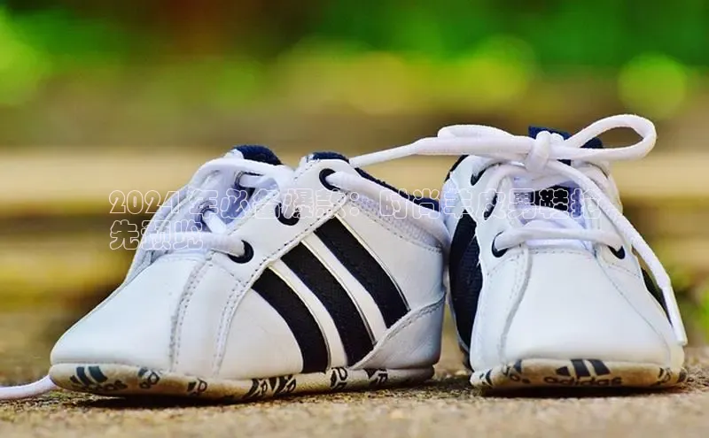 8868体育官方网页版雷柏科技2024 年必备爆款：时尚羊皮男鞋抢
先预览