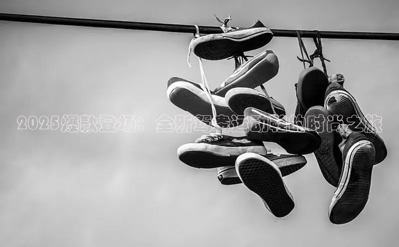 2025爆款登场：全新鸳鸯运动鞋的时尚之旅