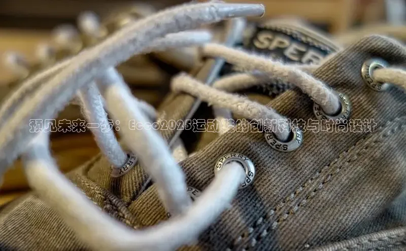 预见未来一步：Ecco2025运动鞋的创新科技与时尚设计