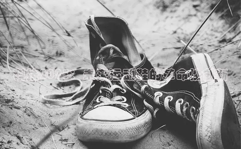 科技2025：未来运动鞋的革命性创新