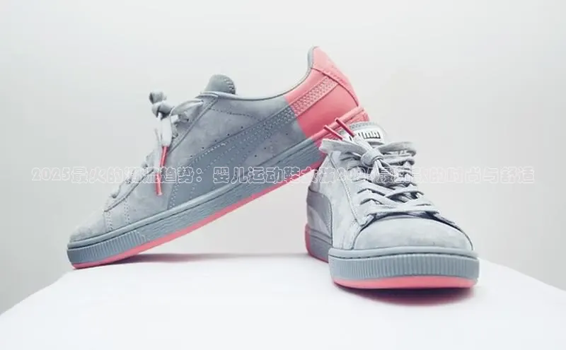 8868体育网页版登录入口